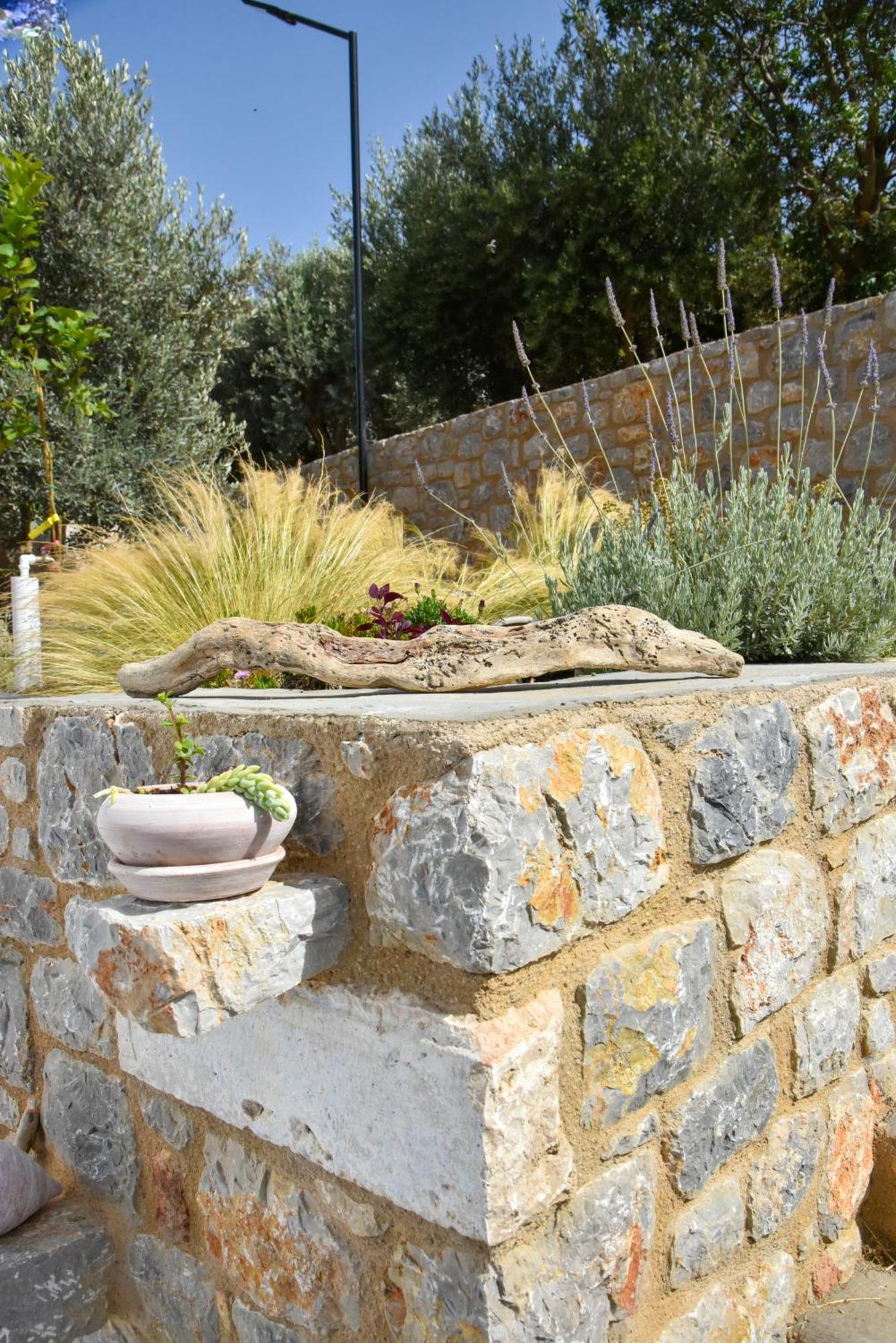 Το Σπιτάκι To Spitaki Τhe Little House Villa Panormos  ภายนอก รูปภาพ